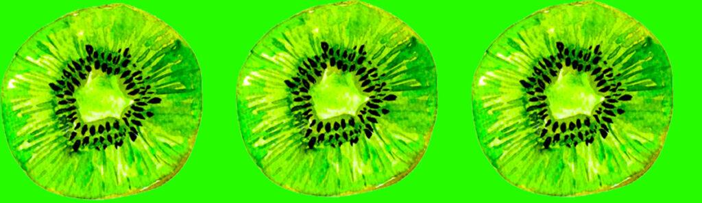 kiwi 2,5 cm 